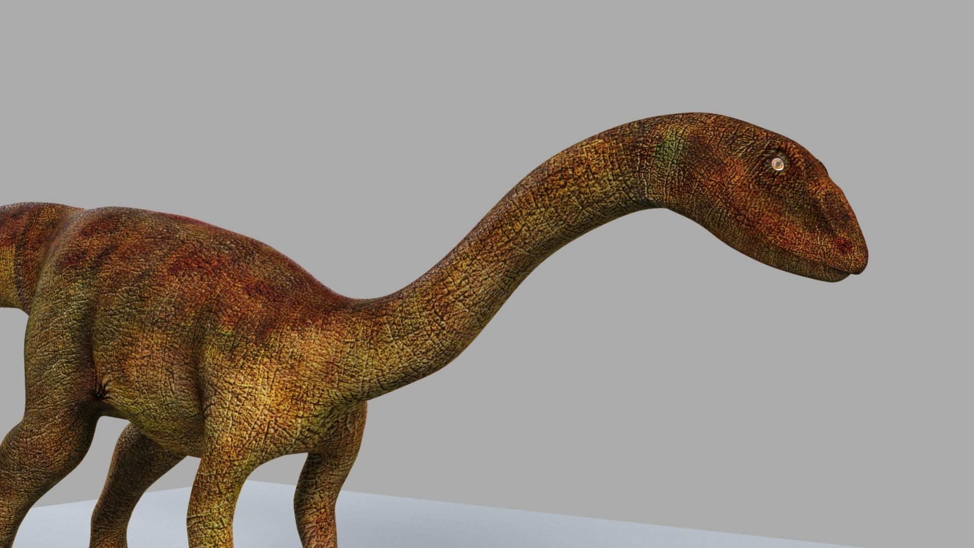 Allosaurus dinosaur 3D model_17