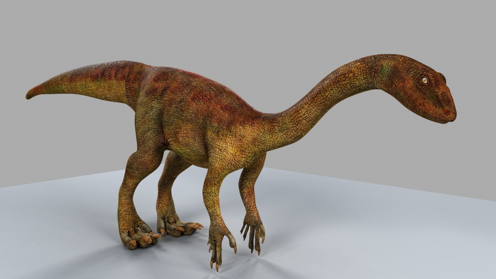 Allosaurus dinosaur 3D model_2
