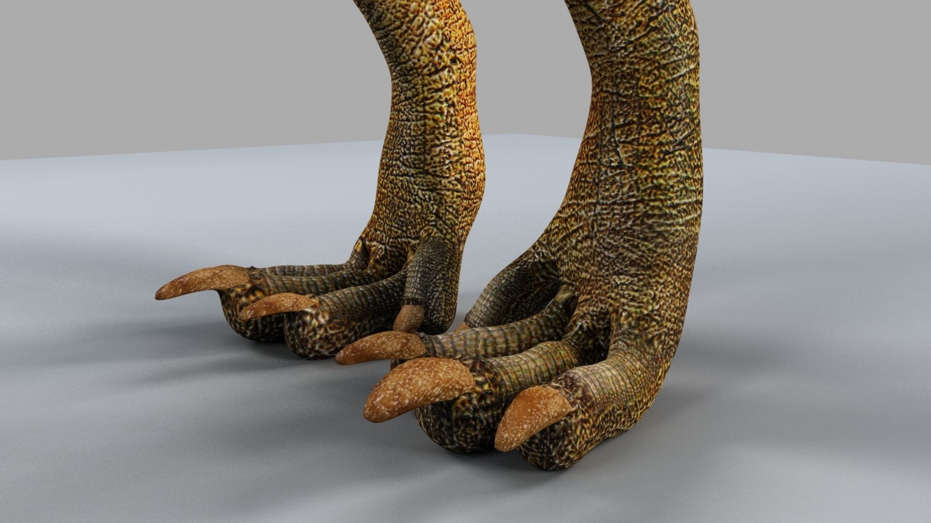 Allosaurus dinosaur 3D model_9