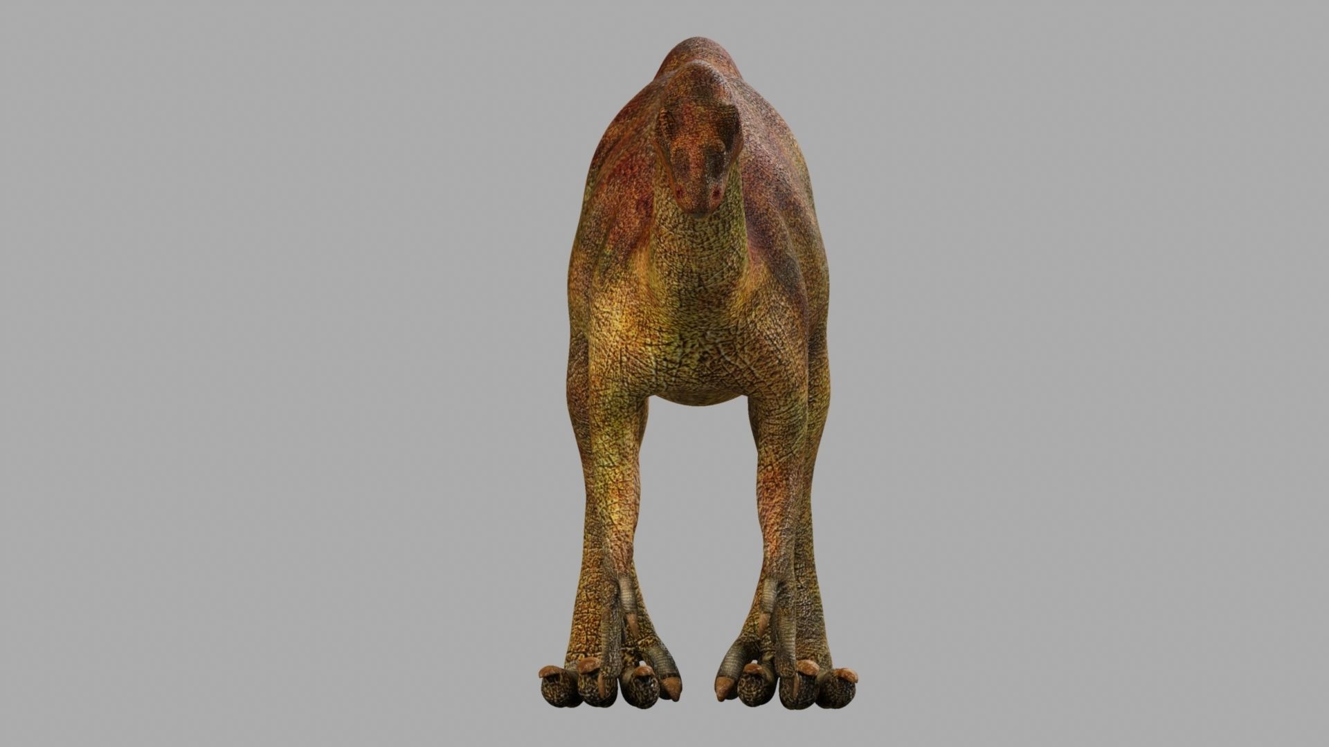 Allosaurus dinosaur 3D model_13