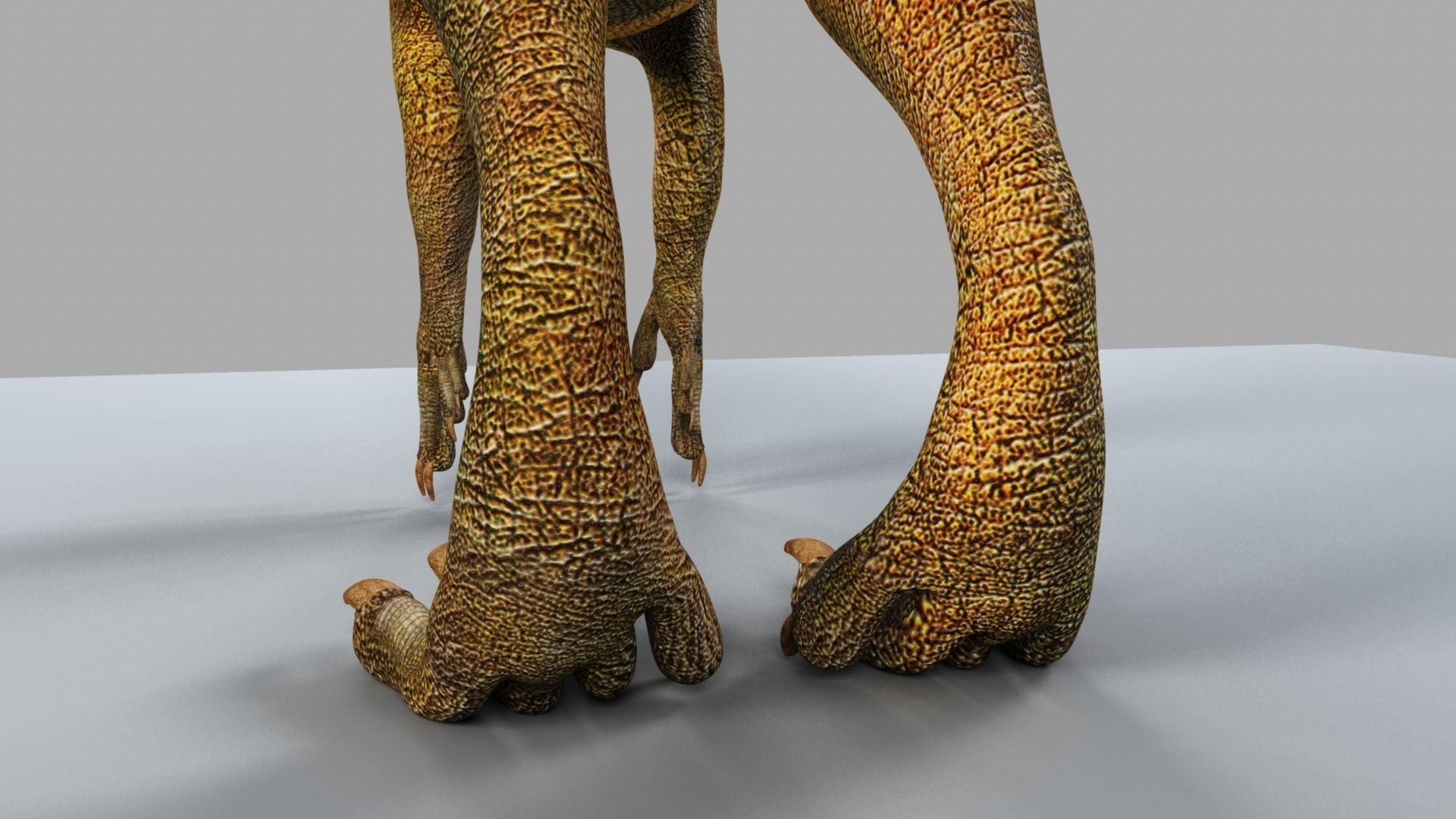 Allosaurus dinosaur 3D model_12