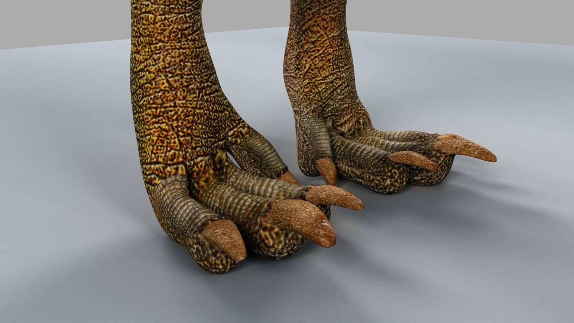 Allosaurus dinosaur 3D model_11