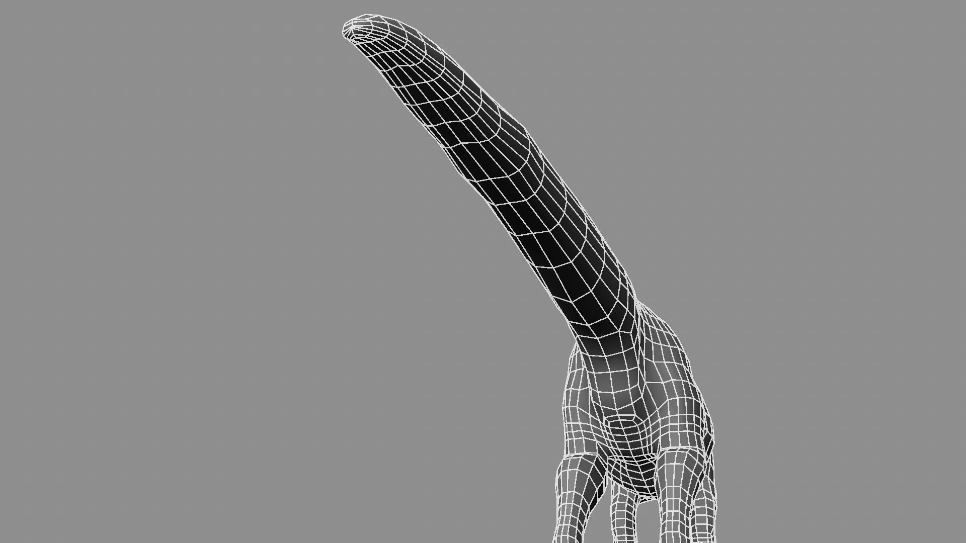 Allosaurus dinosaur 3D model_34