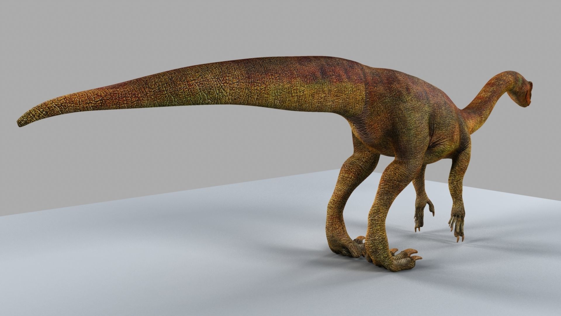 Allosaurus dinosaur 3D model_8