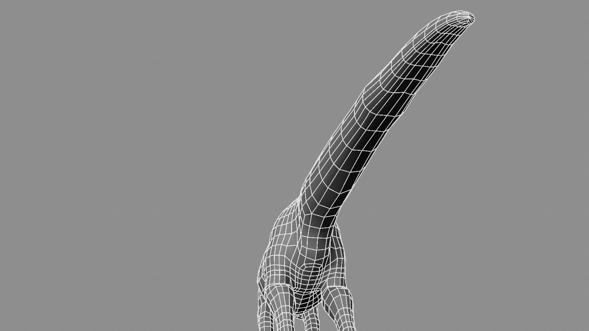 Allosaurus dinosaur 3D model_35