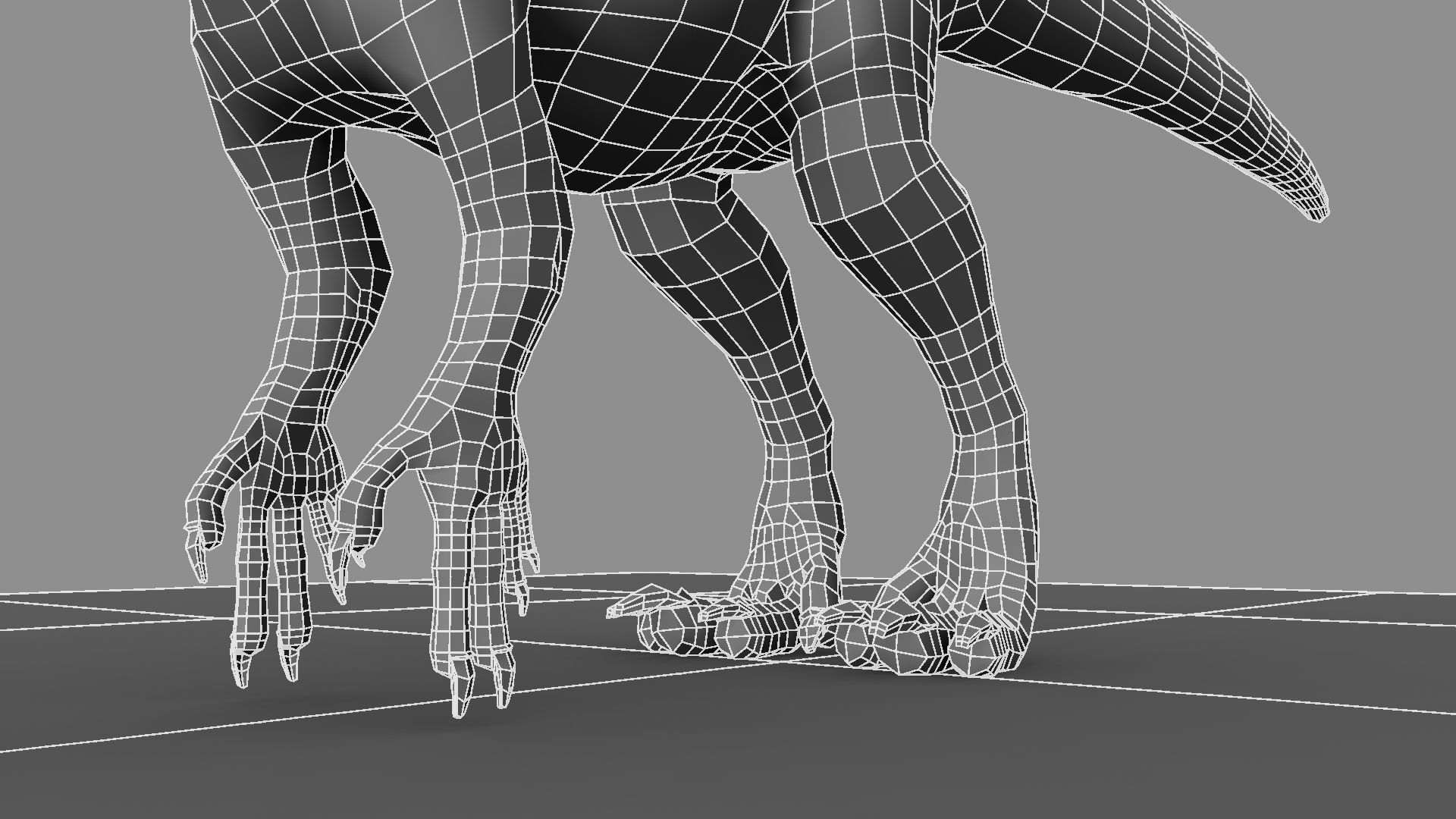 Allosaurus dinosaur 3D model_27