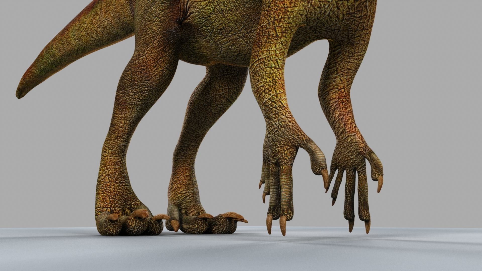 Allosaurus dinosaur 3D model_18
