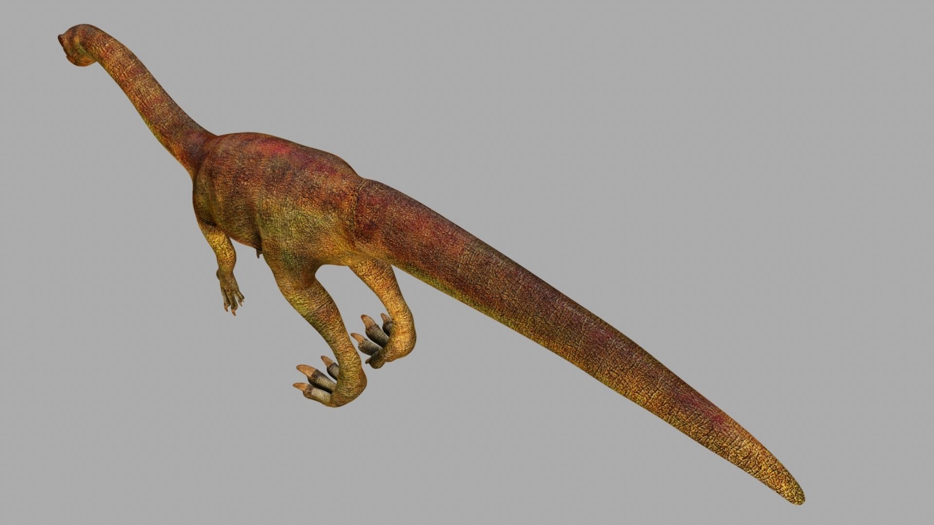 Allosaurus dinosaur 3D model_15