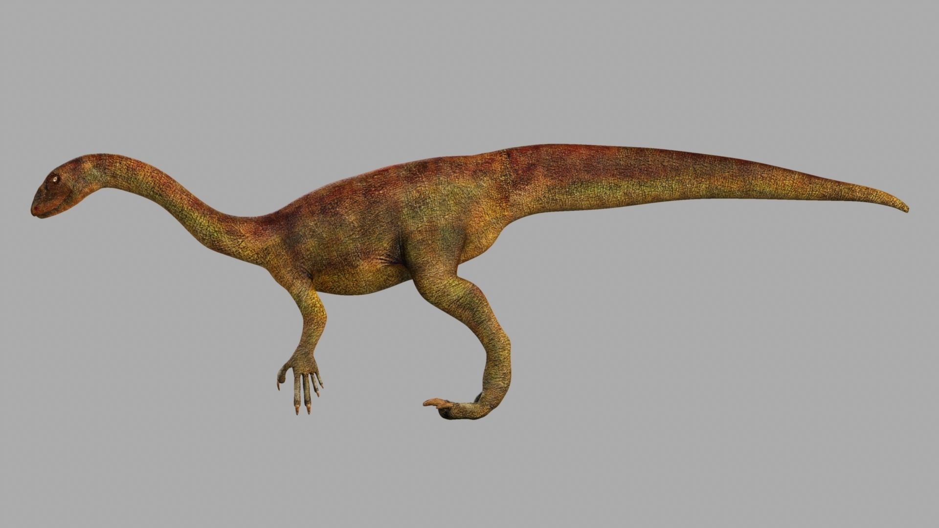 Allosaurus dinosaur 3D model_14