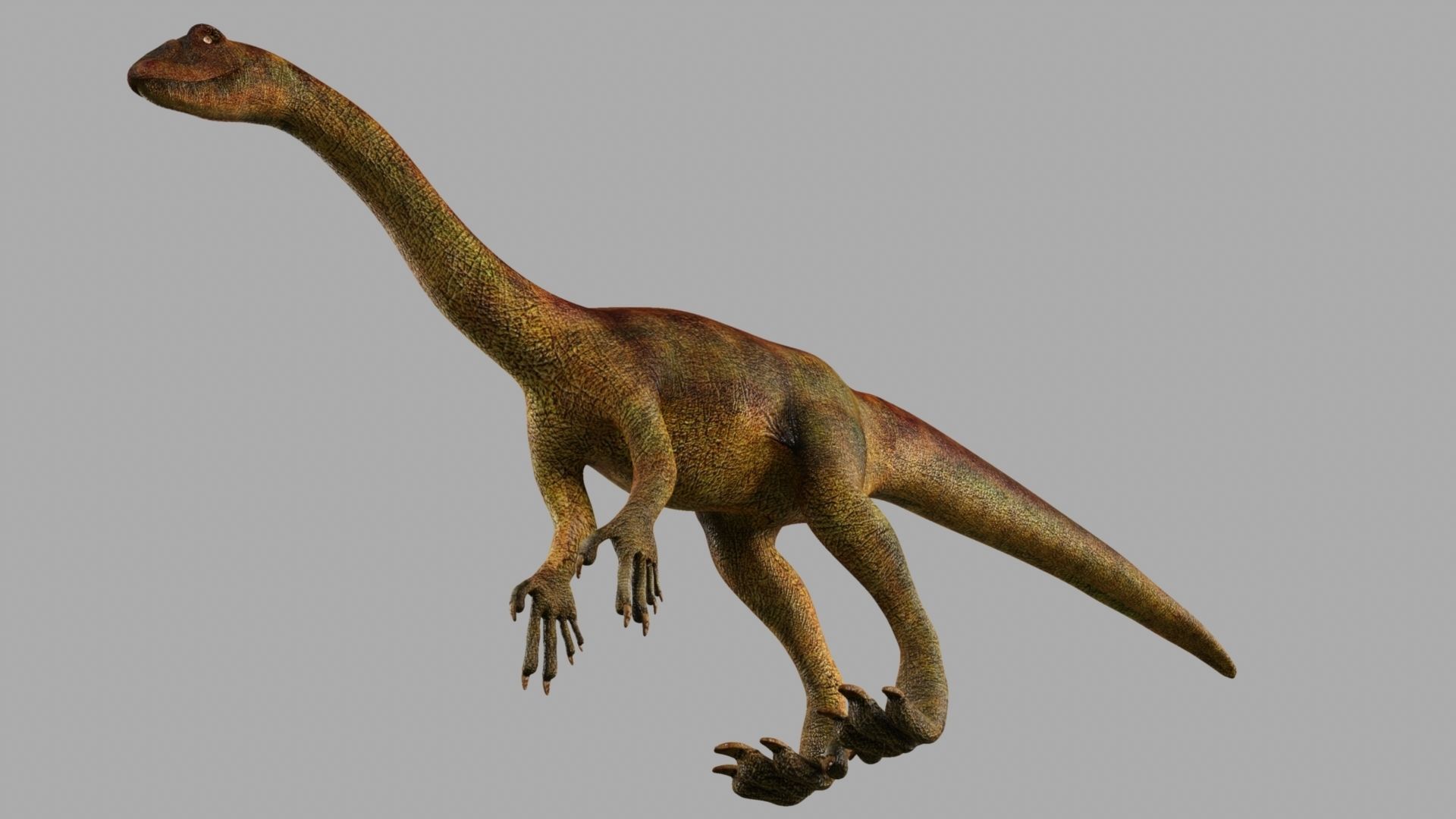 Allosaurus dinosaur 3D model_16