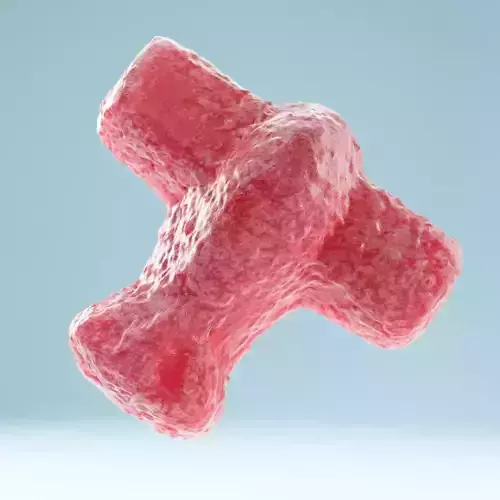 Airplane strawberry candy Low-poly 3D model