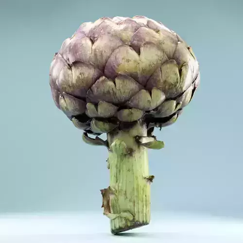Artichokes artichoke