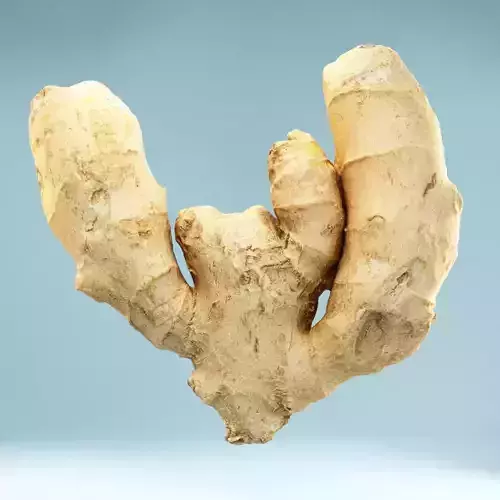Ginger root Low-poly 3D model