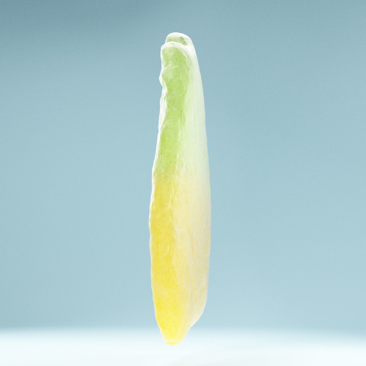 Pineapple CAndy Low-poly 3D model_8