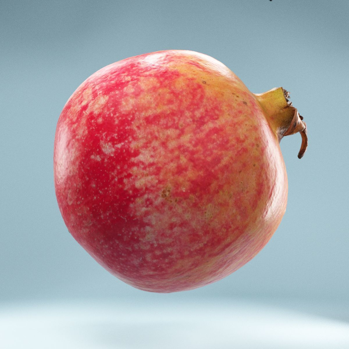 Pomegranate Low-poly 3D model_4
