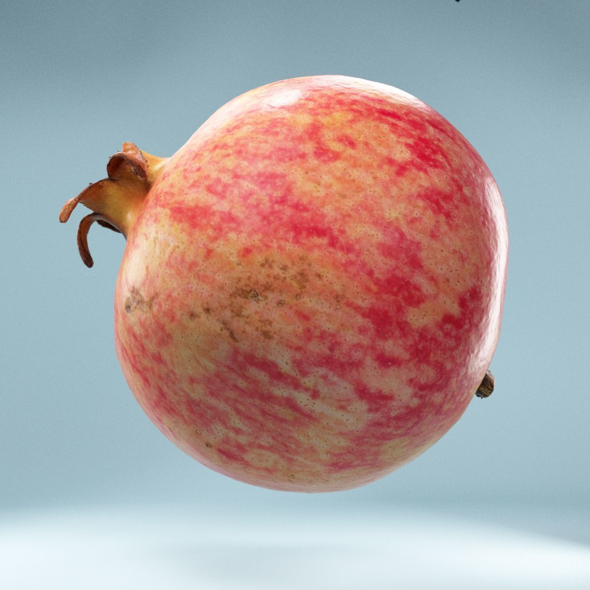 Pomegranate Low-poly 3D model_10
