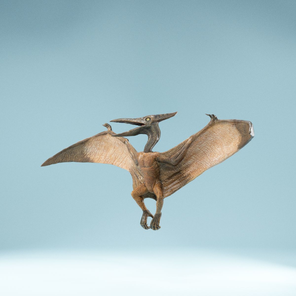 Pterodactylus dinosaur flying in air Low-poly 3D model_11