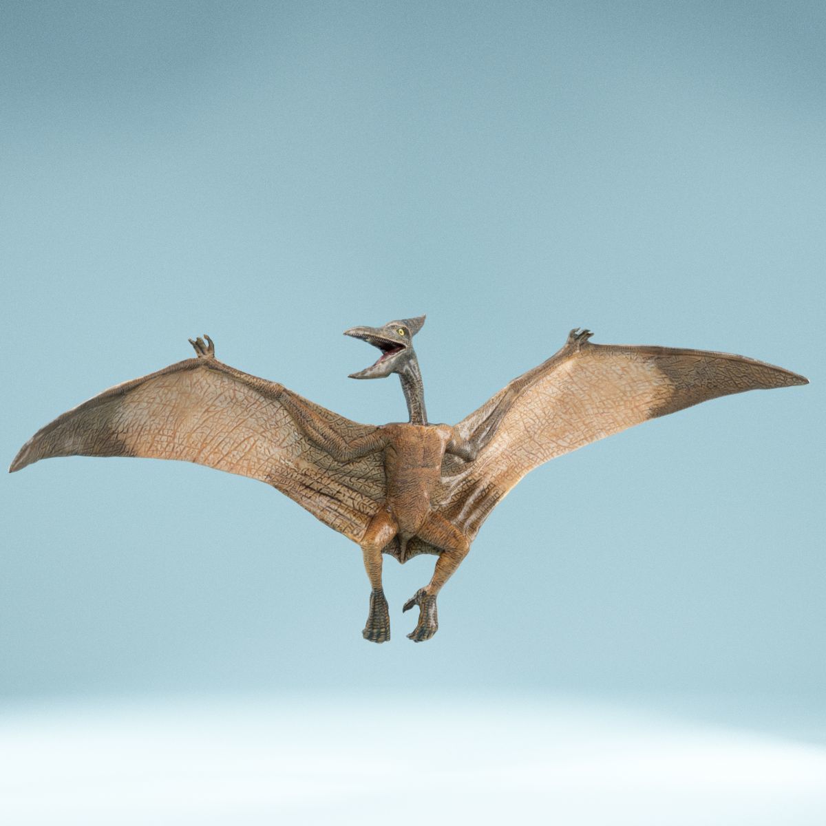Pterodactylus dinosaur flying in air Low-poly 3D model_1
