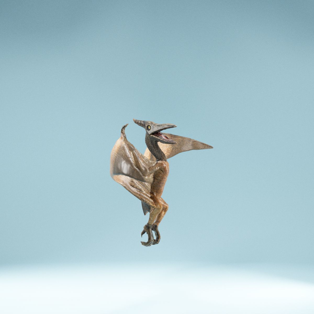 Pterodactylus dinosaur flying in air Low-poly 3D model_3
