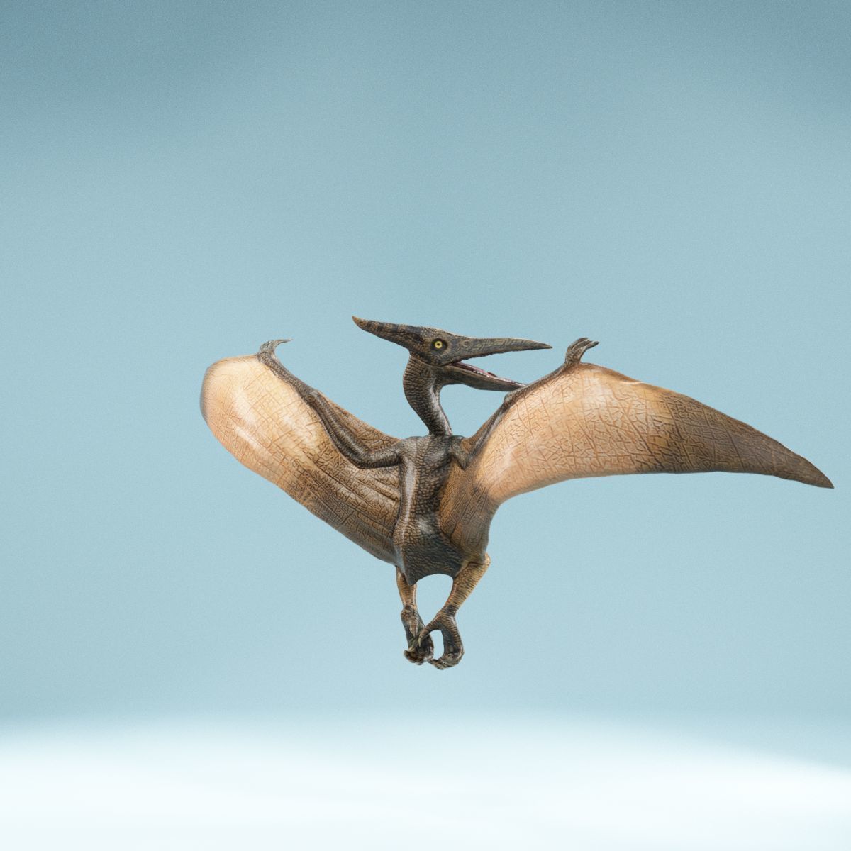 Pterodactylus dinosaur flying in air Low-poly 3D model_5