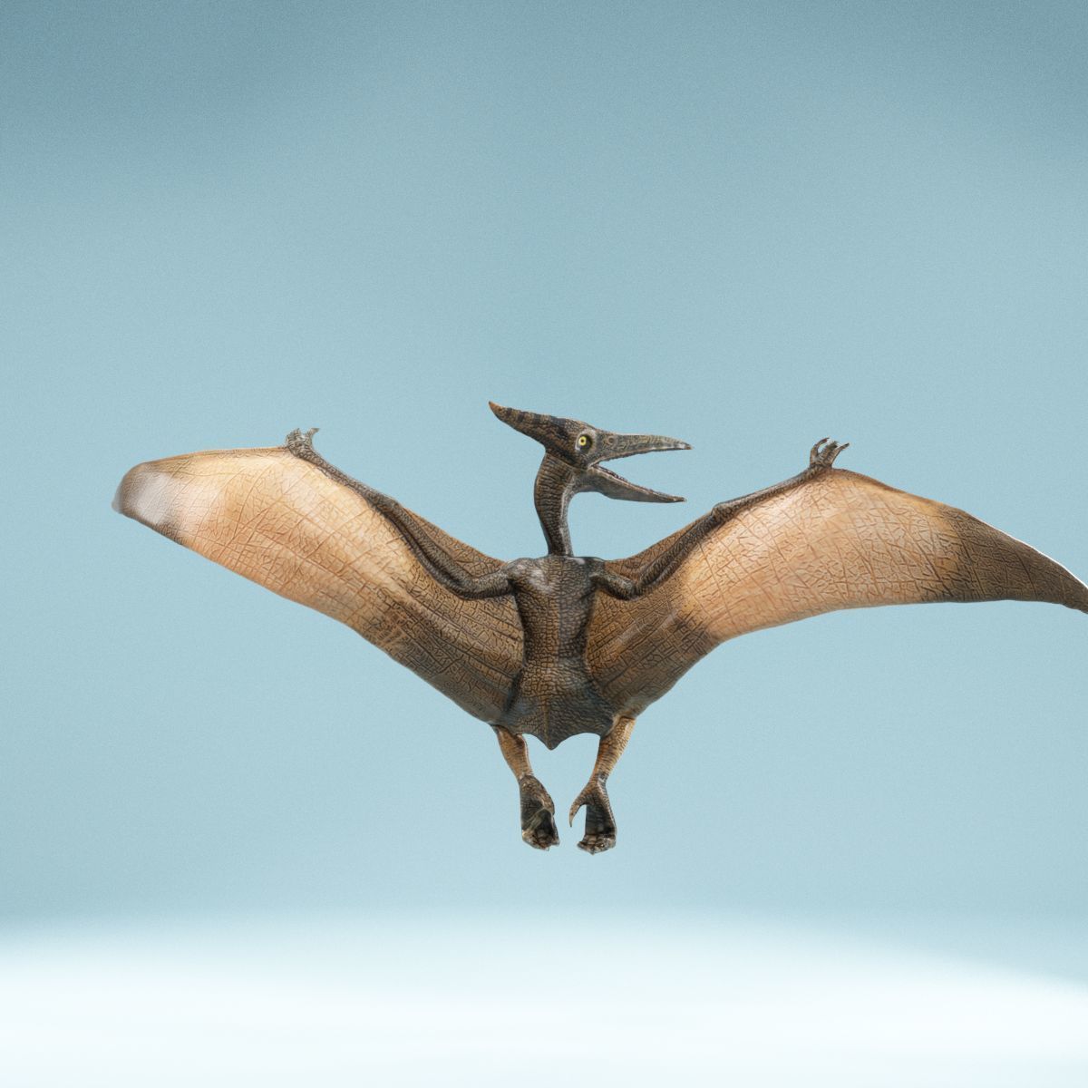 Pterodactylus dinosaur flying in air Low-poly 3D model_6
