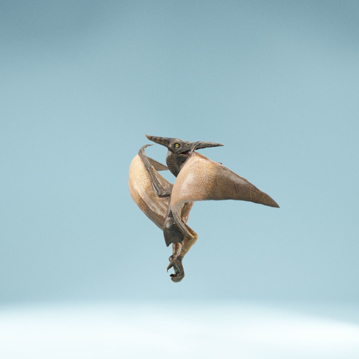 Pterodactylus dinosaur flying in air Low-poly 3D model_4