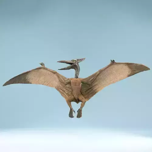 Pterodactylus dinosaur flying in air Low-poly 3D model