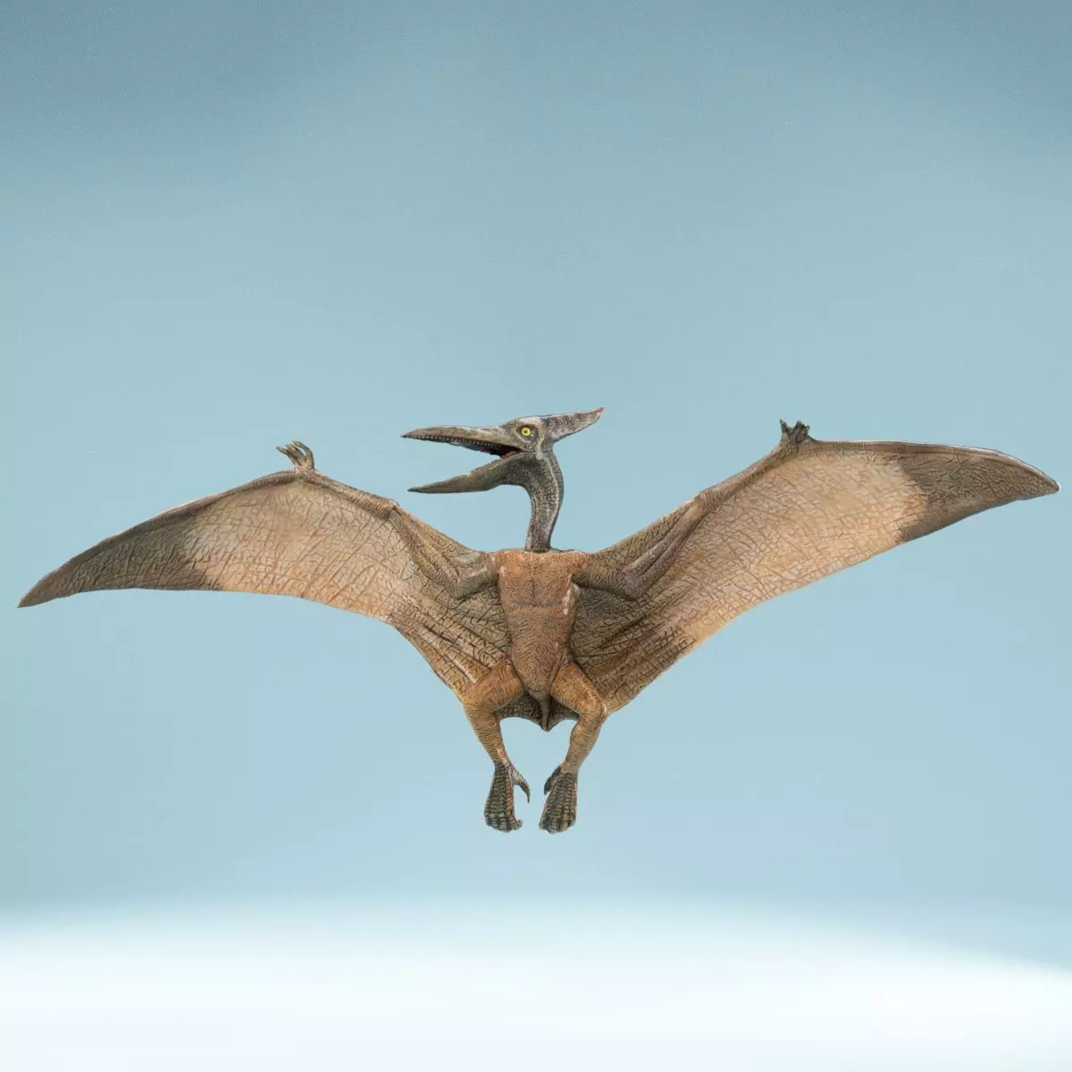 Pterodactylus dinosaur flying in air Low-poly 3D model_0