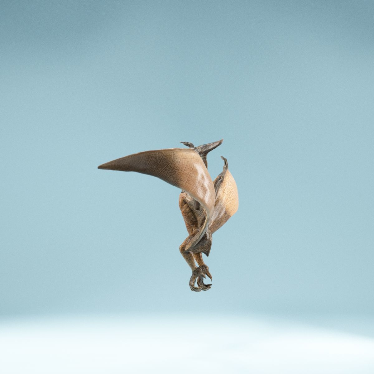 Pterodactylus dinosaur flying in air Low-poly 3D model_9