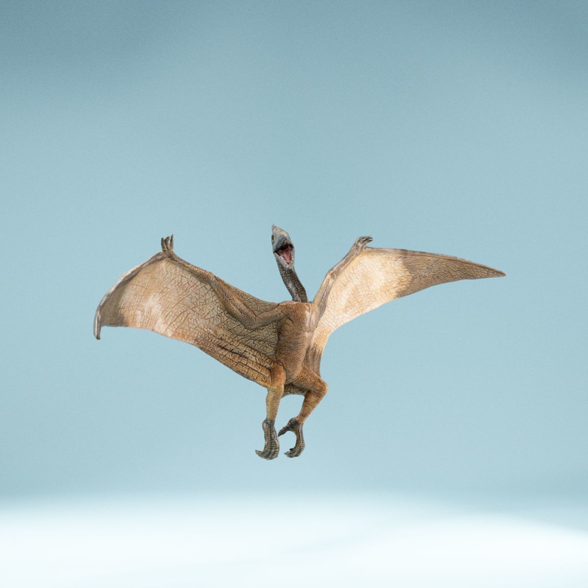 Pterodactylus dinosaur flying in air Low-poly 3D model_2