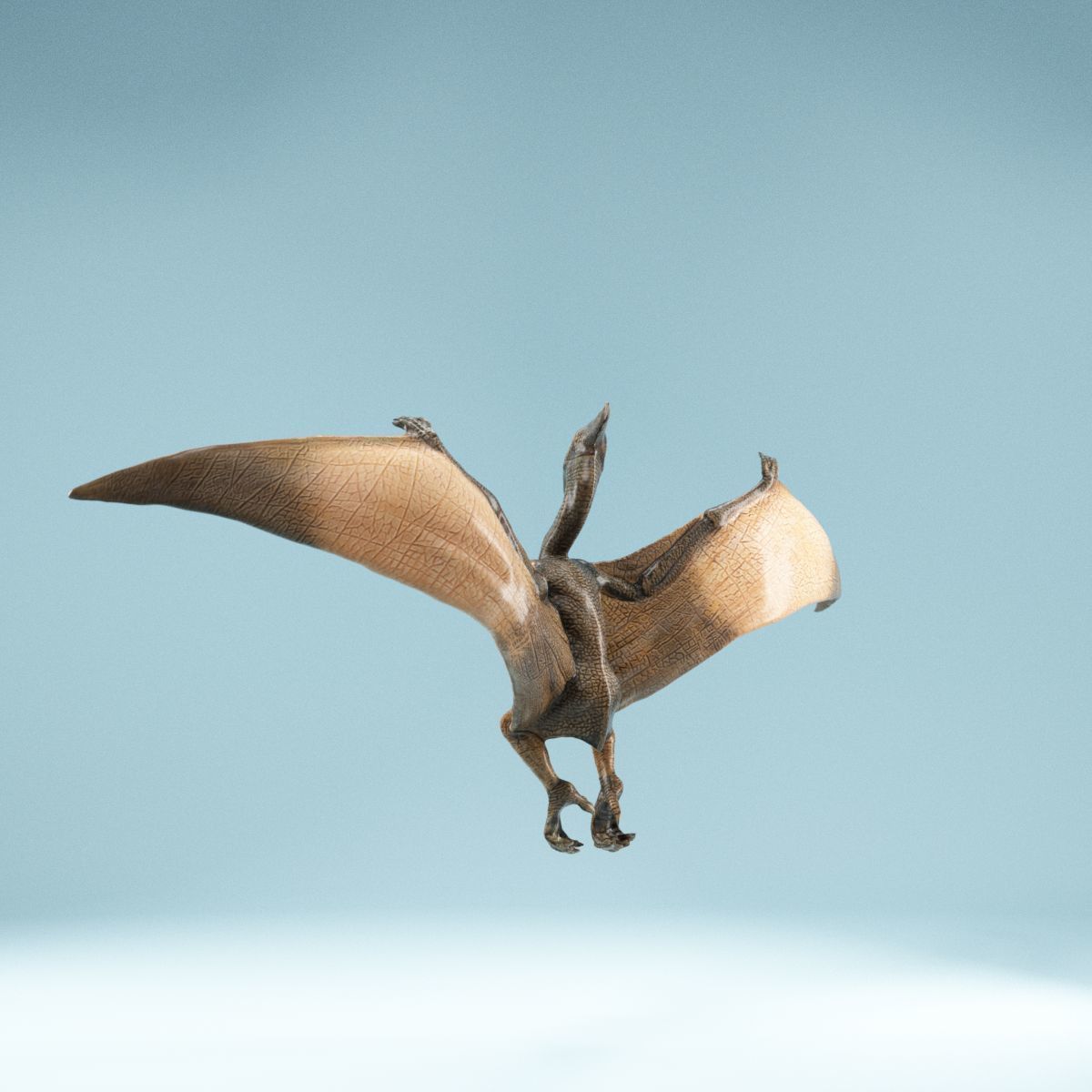 Pterodactylus dinosaur flying in air Low-poly 3D model_8