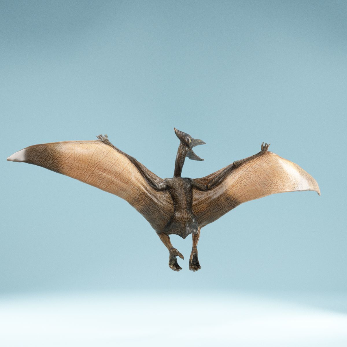 Pterodactylus dinosaur flying in air Low-poly 3D model_7