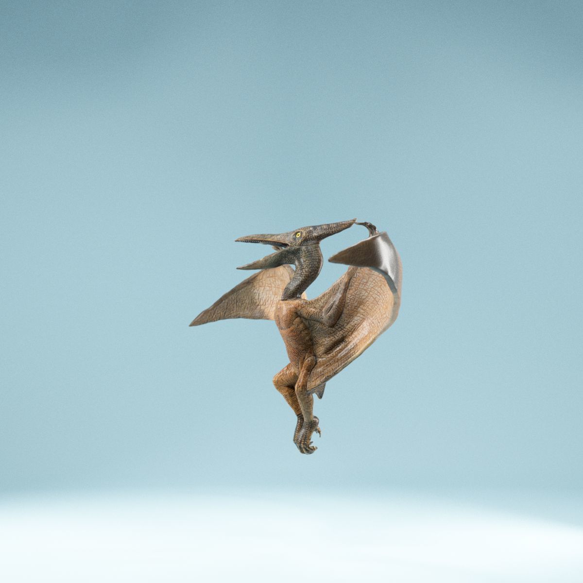 Pterodactylus dinosaur flying in air Low-poly 3D model_10