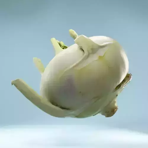 Salad onion floating in air