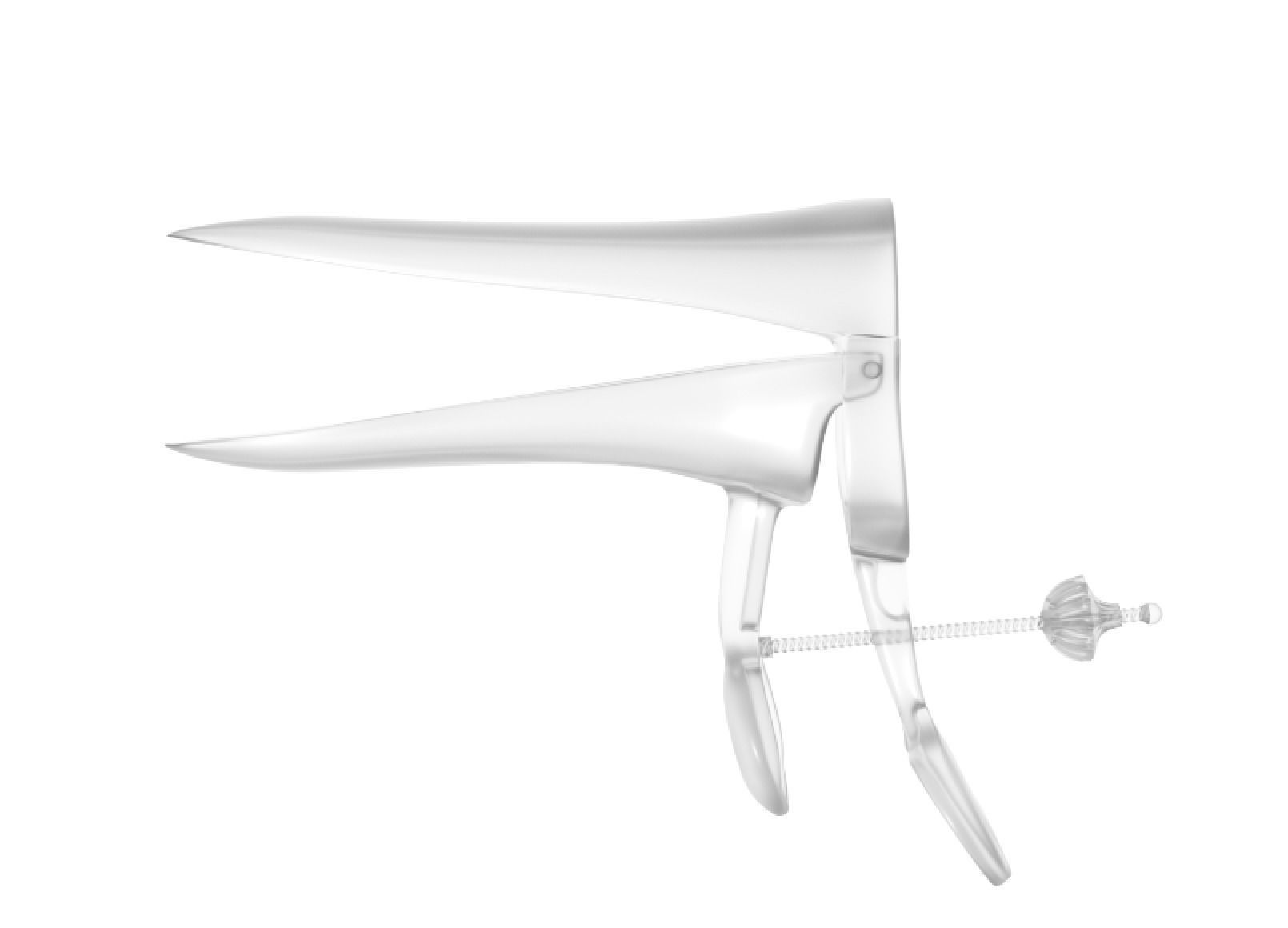 Speculum  Low-poly 3D model_1