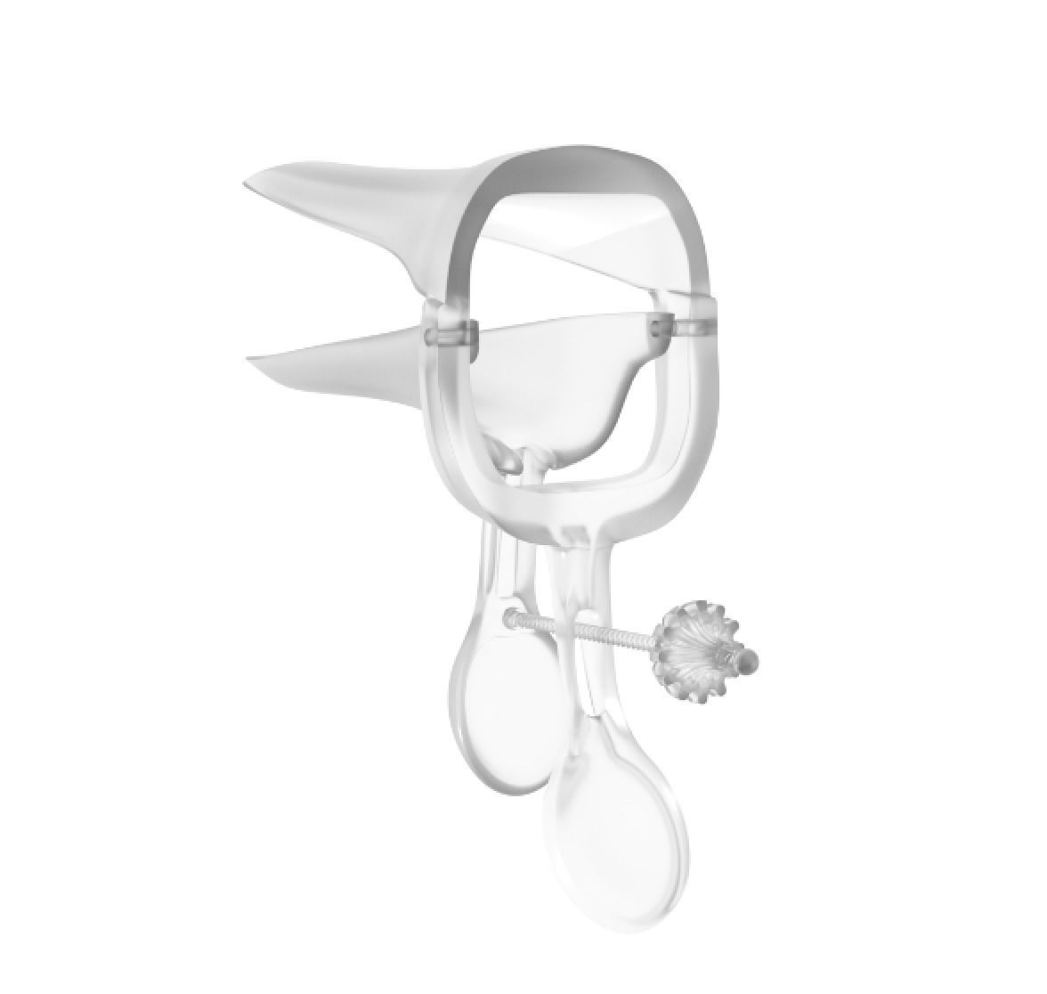 Speculum  Low-poly 3D model_2