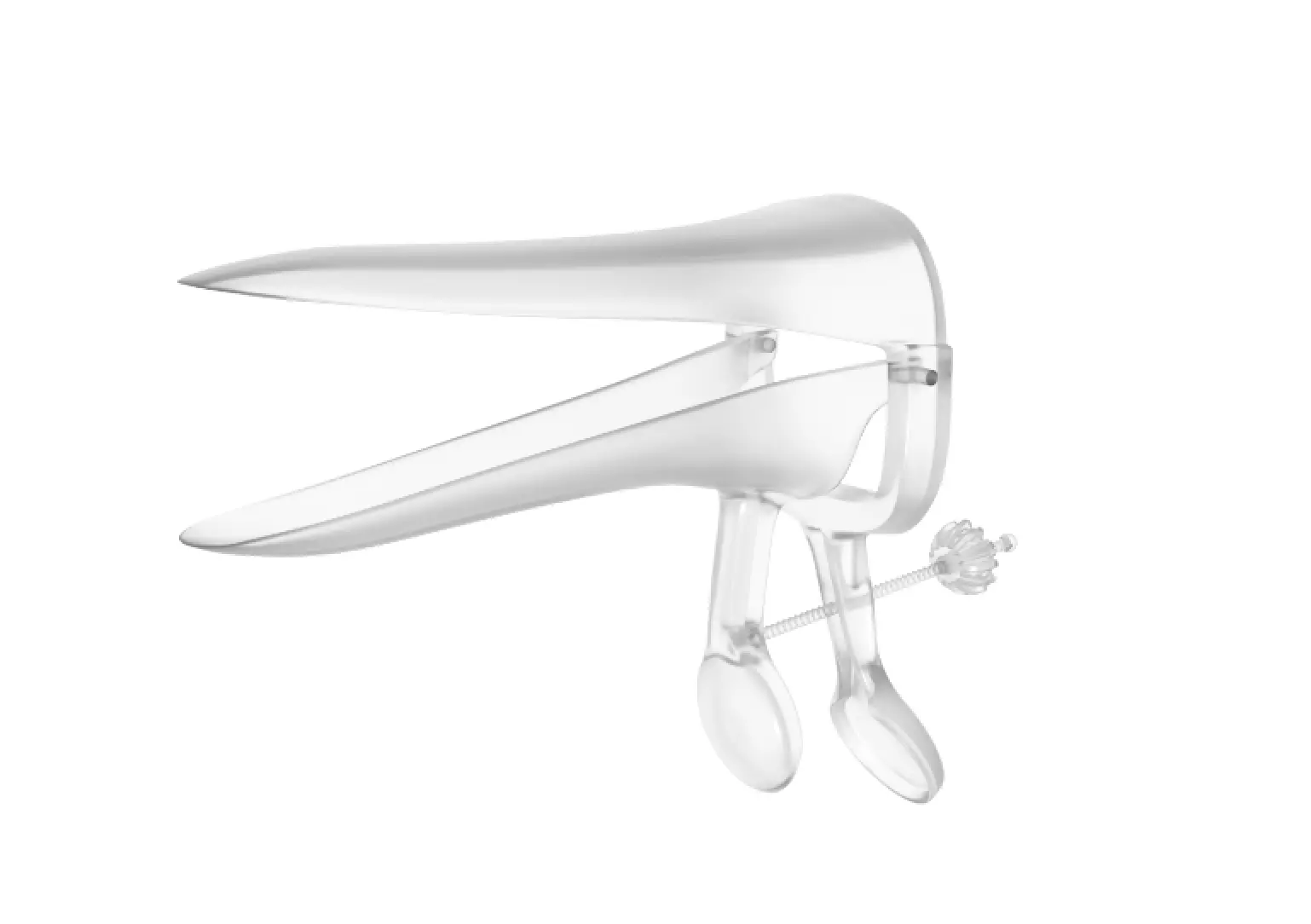 Speculum  Low-poly 3D model_0