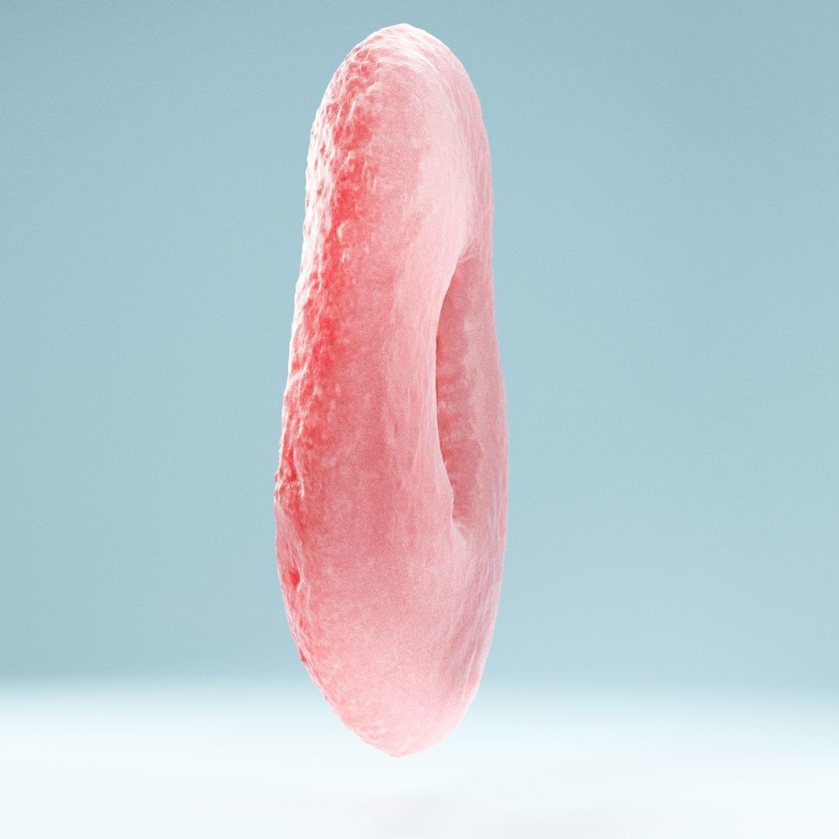 Red Ring Low-poly 3D model_9