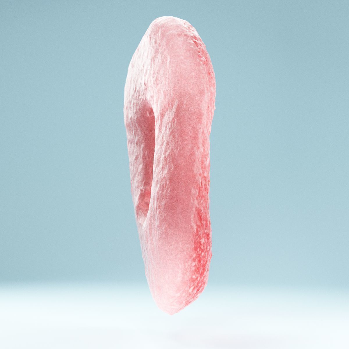 Red Ring Low-poly 3D model_4