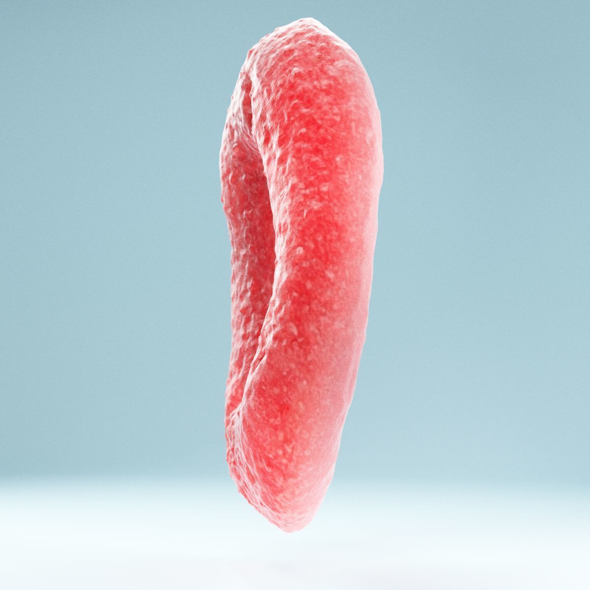 Red Ring Low-poly 3D model_10