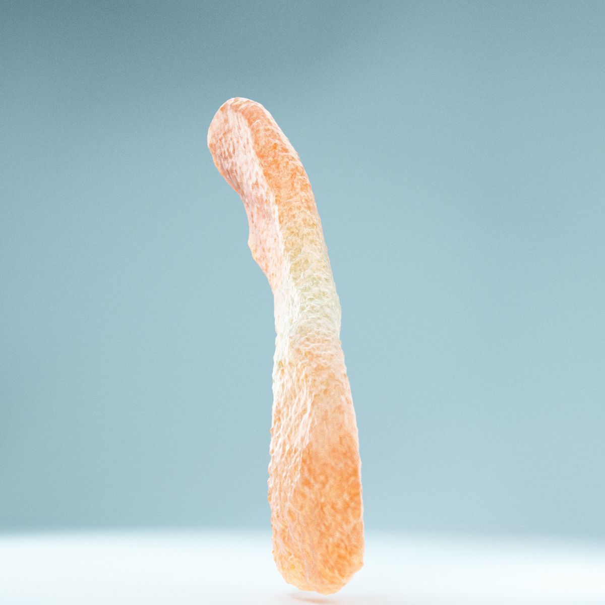 Sour Tongue Orange Green Low-poly 3D model_9