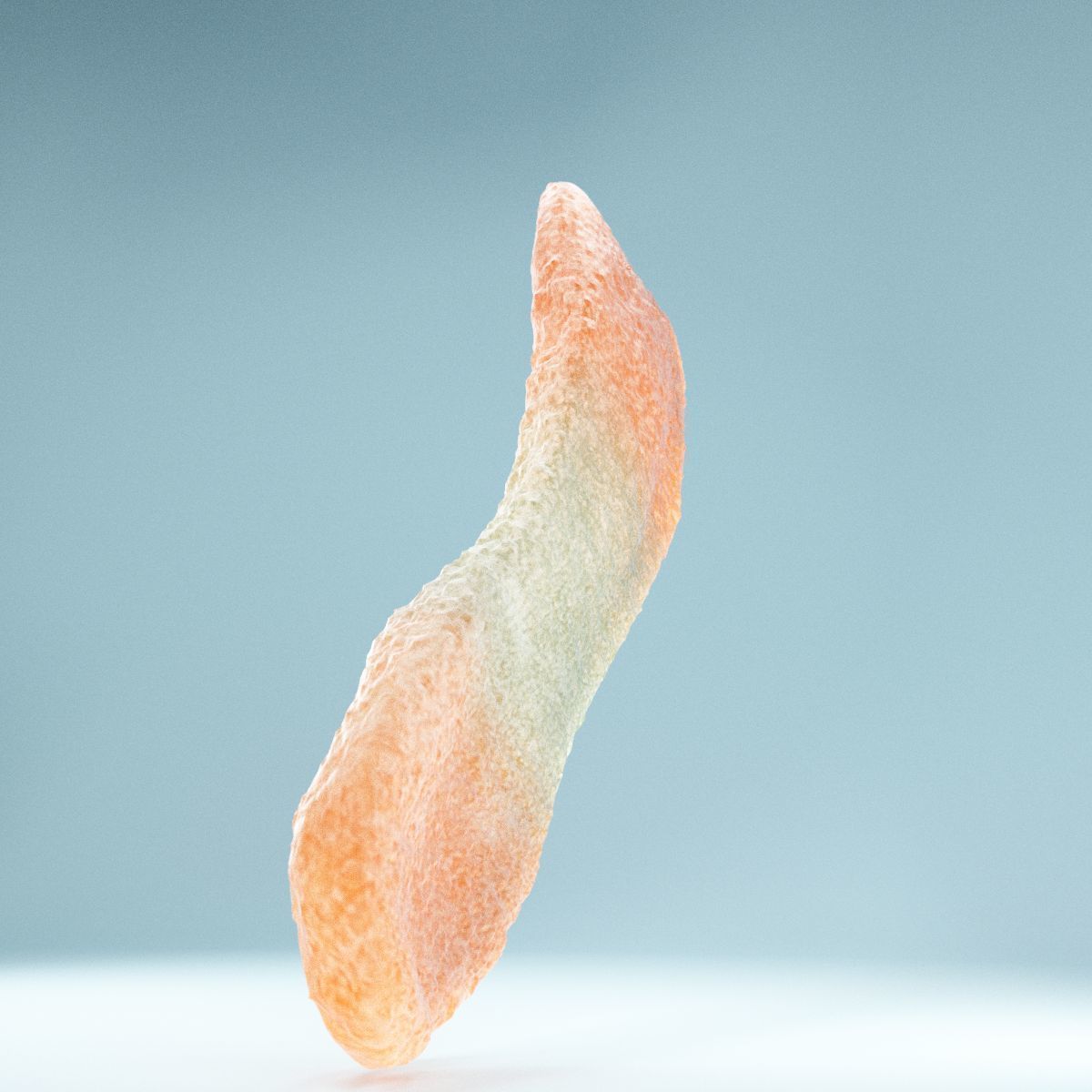 Sour Tongue Orange Green Low-poly 3D model_8