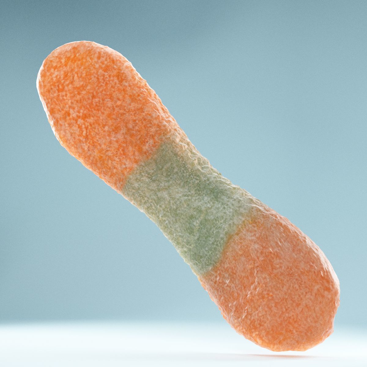 Sour Tongue Orange Green Low-poly 3D model_11