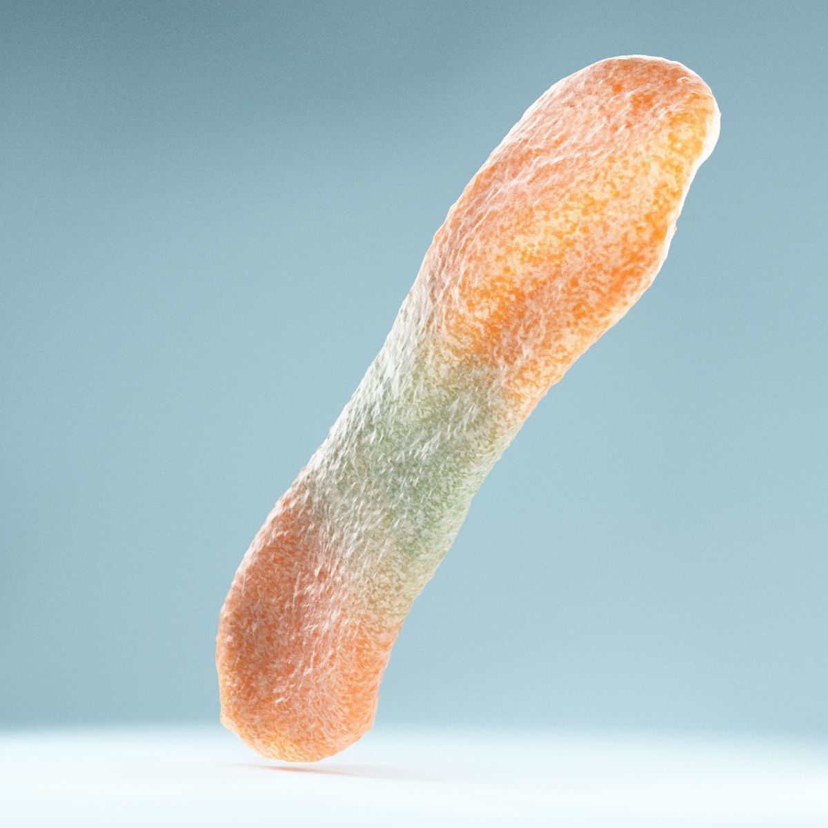 Sour Tongue Orange Green Low-poly 3D model_4