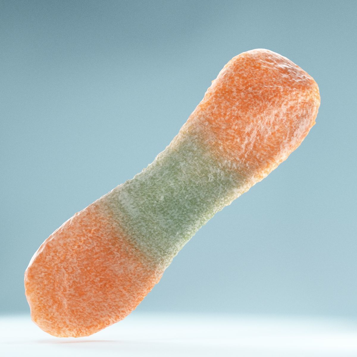 Sour Tongue Orange Green Low-poly 3D model_6