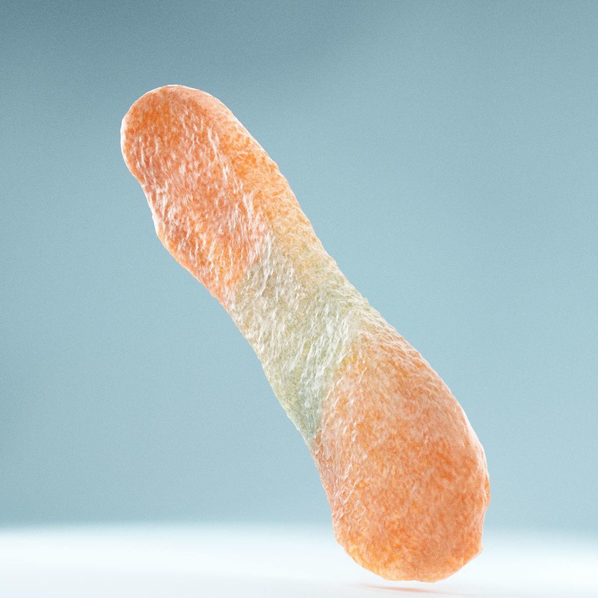 Sour Tongue Orange Green Low-poly 3D model_10