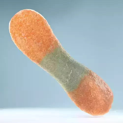 Sour Tongue Orange Green Low-poly 3D model