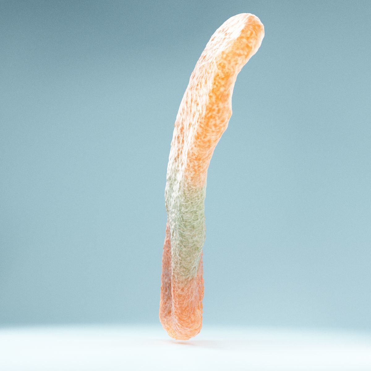 Sour Tongue Orange Green Low-poly 3D model_3