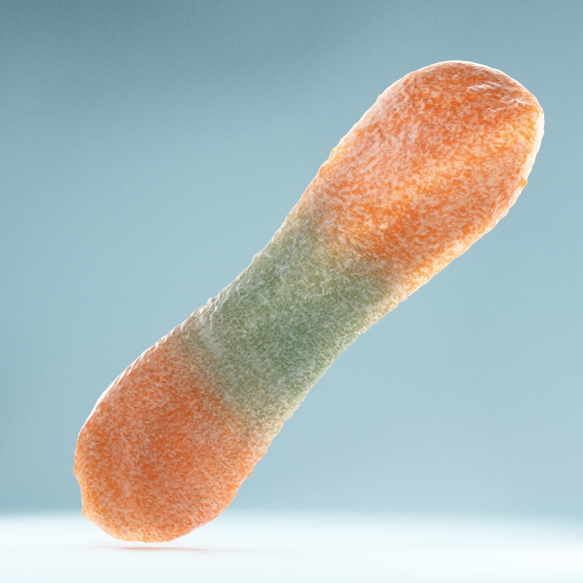 Sour Tongue Orange Green Low-poly 3D model_5