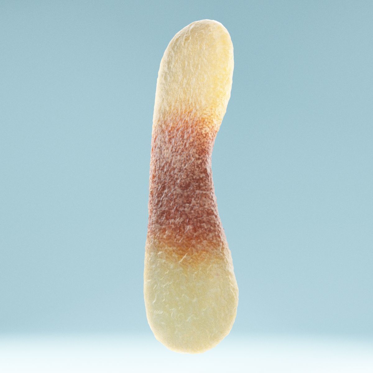 Cola Tongue Low-poly 3D model_5